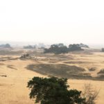 KOOTWIJKERZAND01