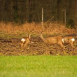 2010_0326Reeen-1801